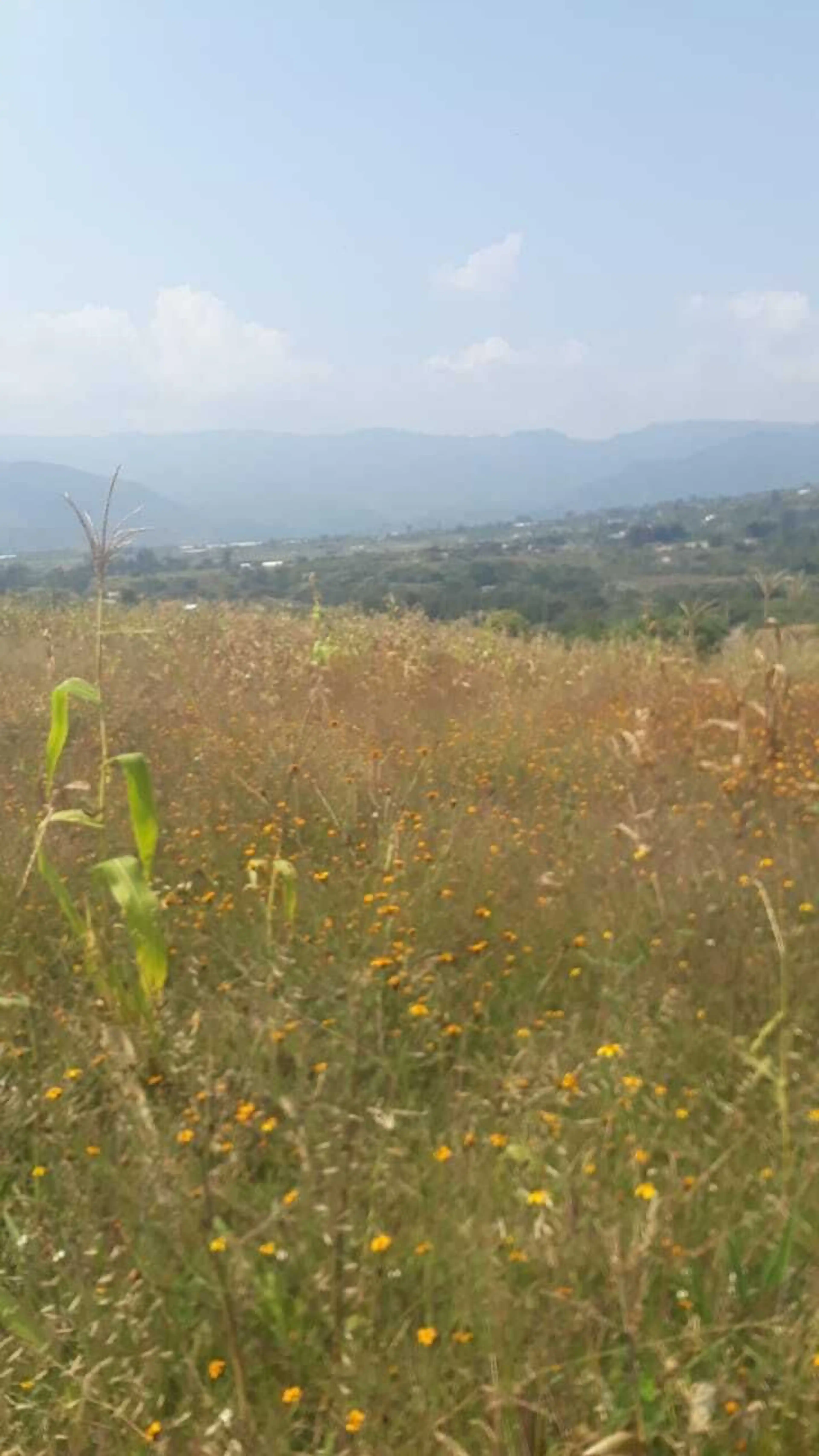 TERRENO EJIDAL EN VENTA, MALINALCO ESTADO DE MEXICO