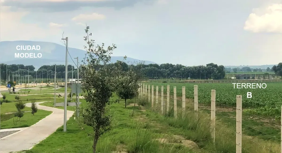 Terreno Spot2