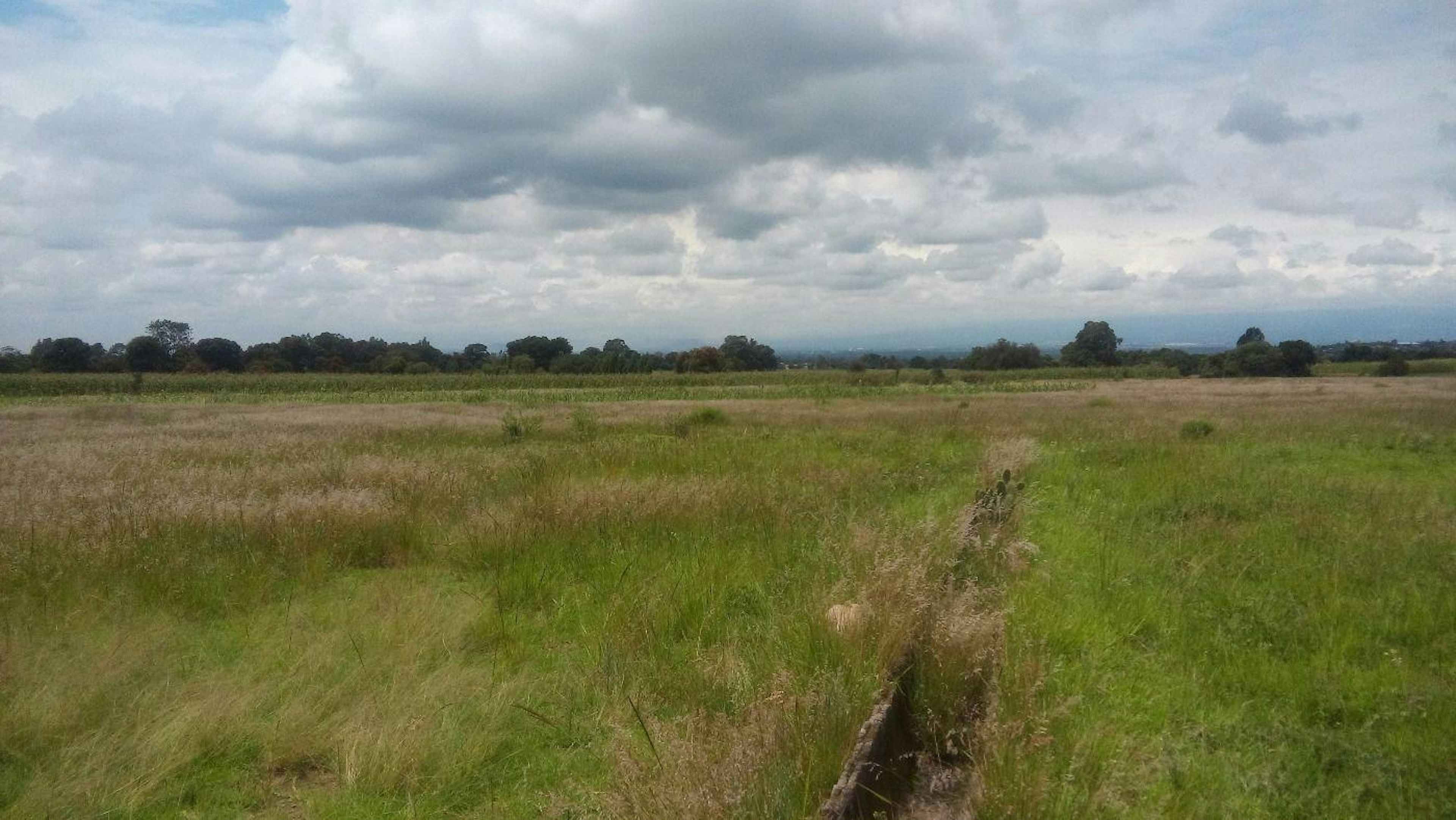 Barrio Quiahuixtla Norte