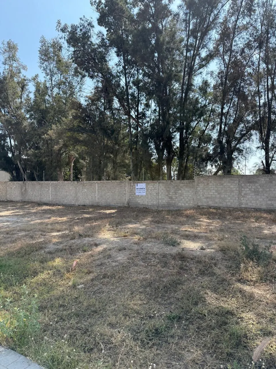 Terreno Spot2