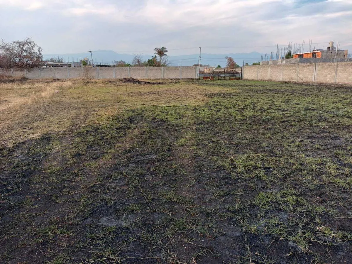 Terreno Spot2