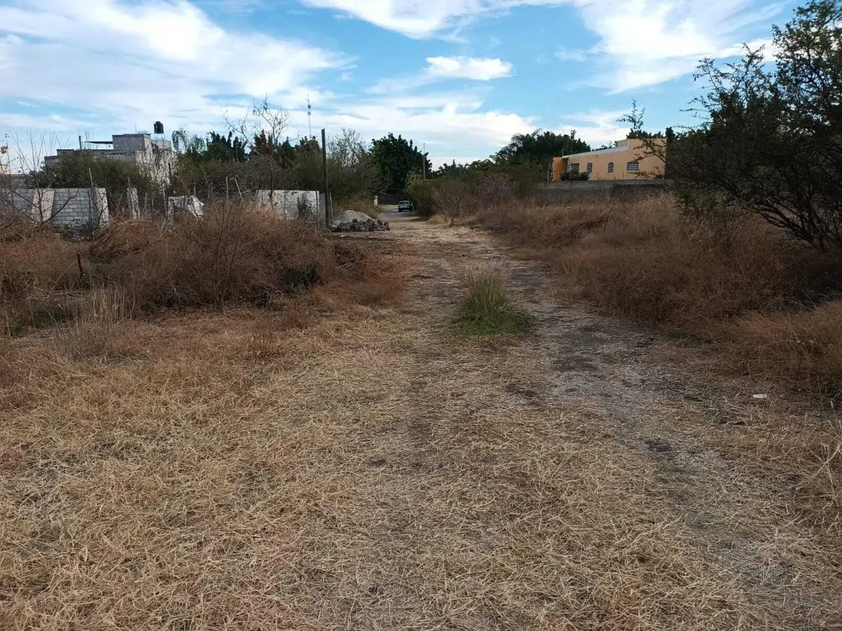 Terreno Spot2