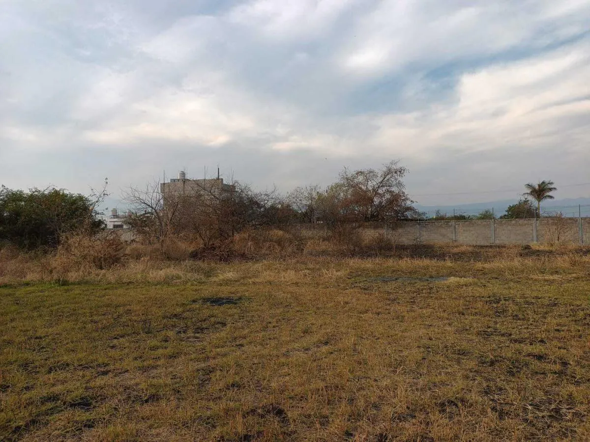 Terreno Spot2