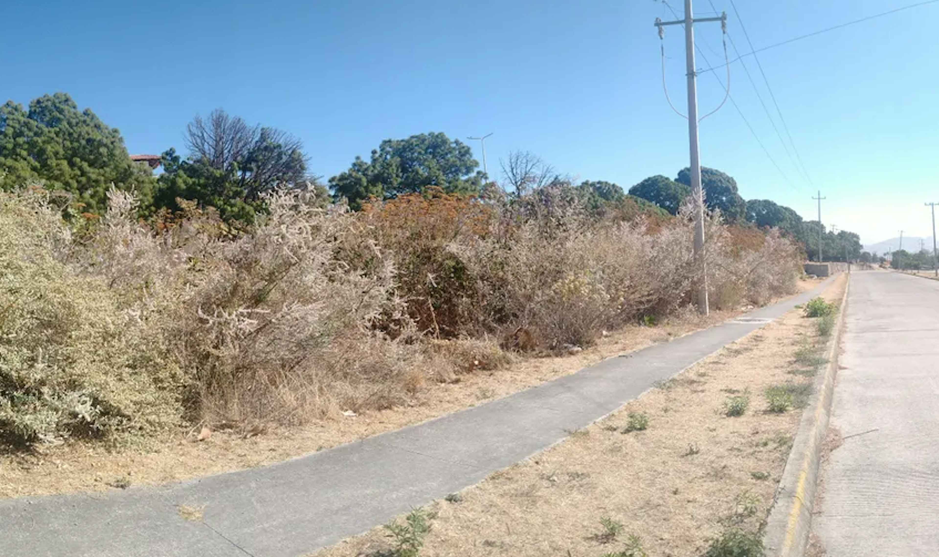 Circuito Del Lince Sur 1820