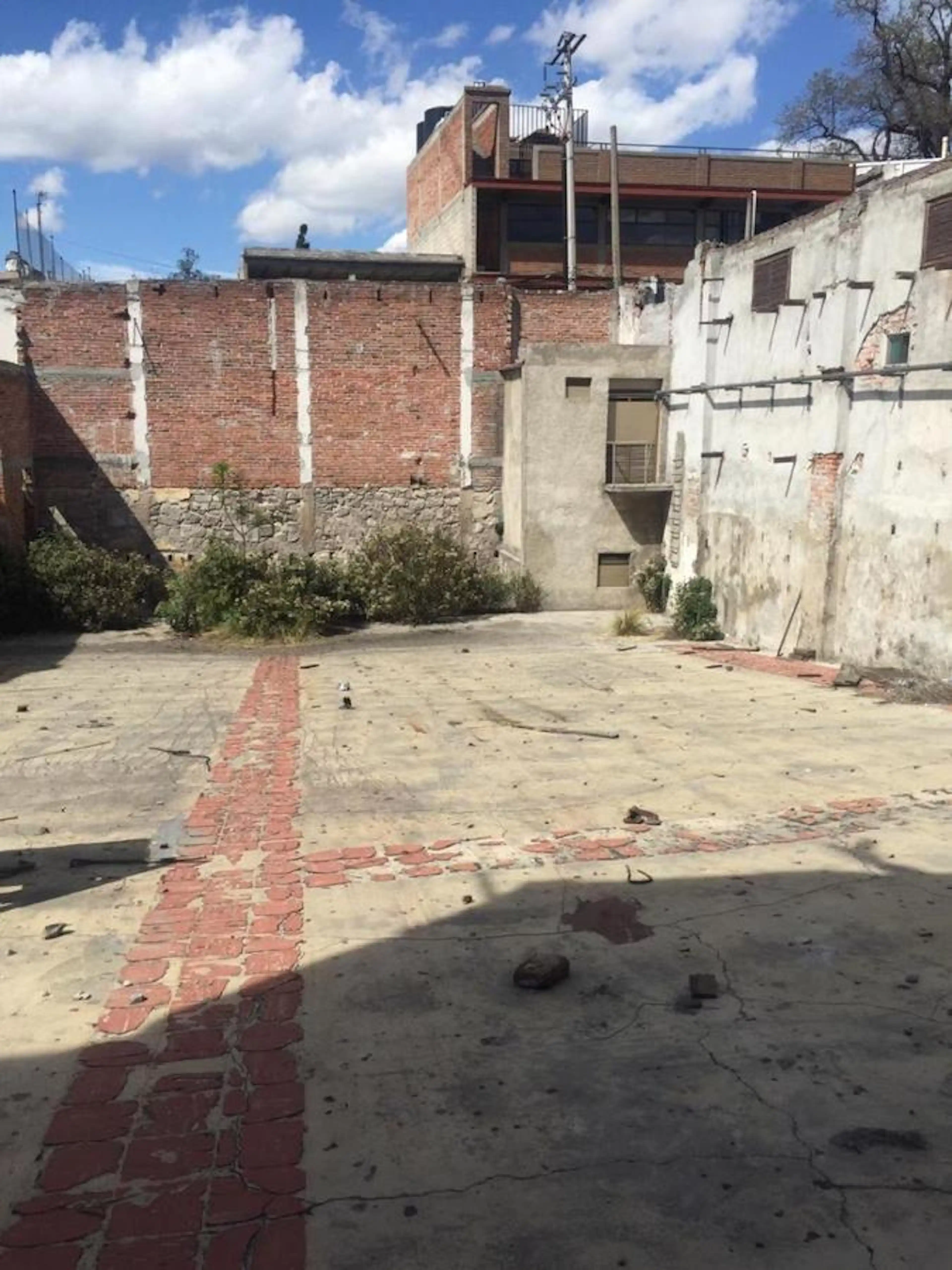 Terreno En Renta - (4)