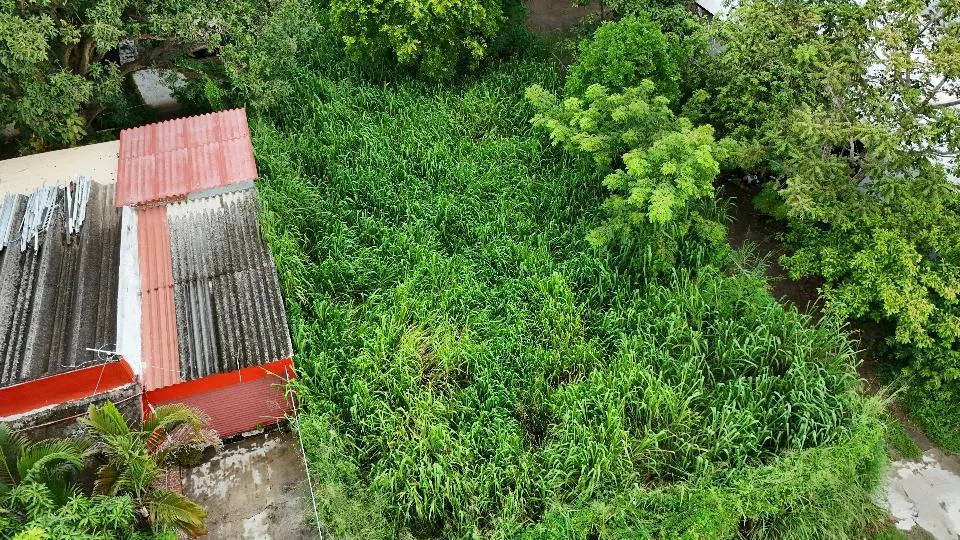 Terreno Spot2