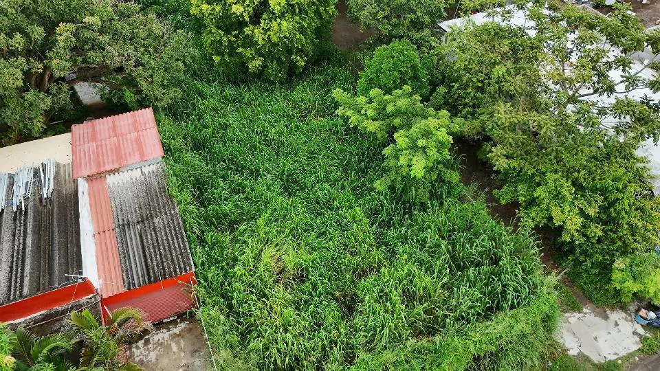 Terreno Spot2