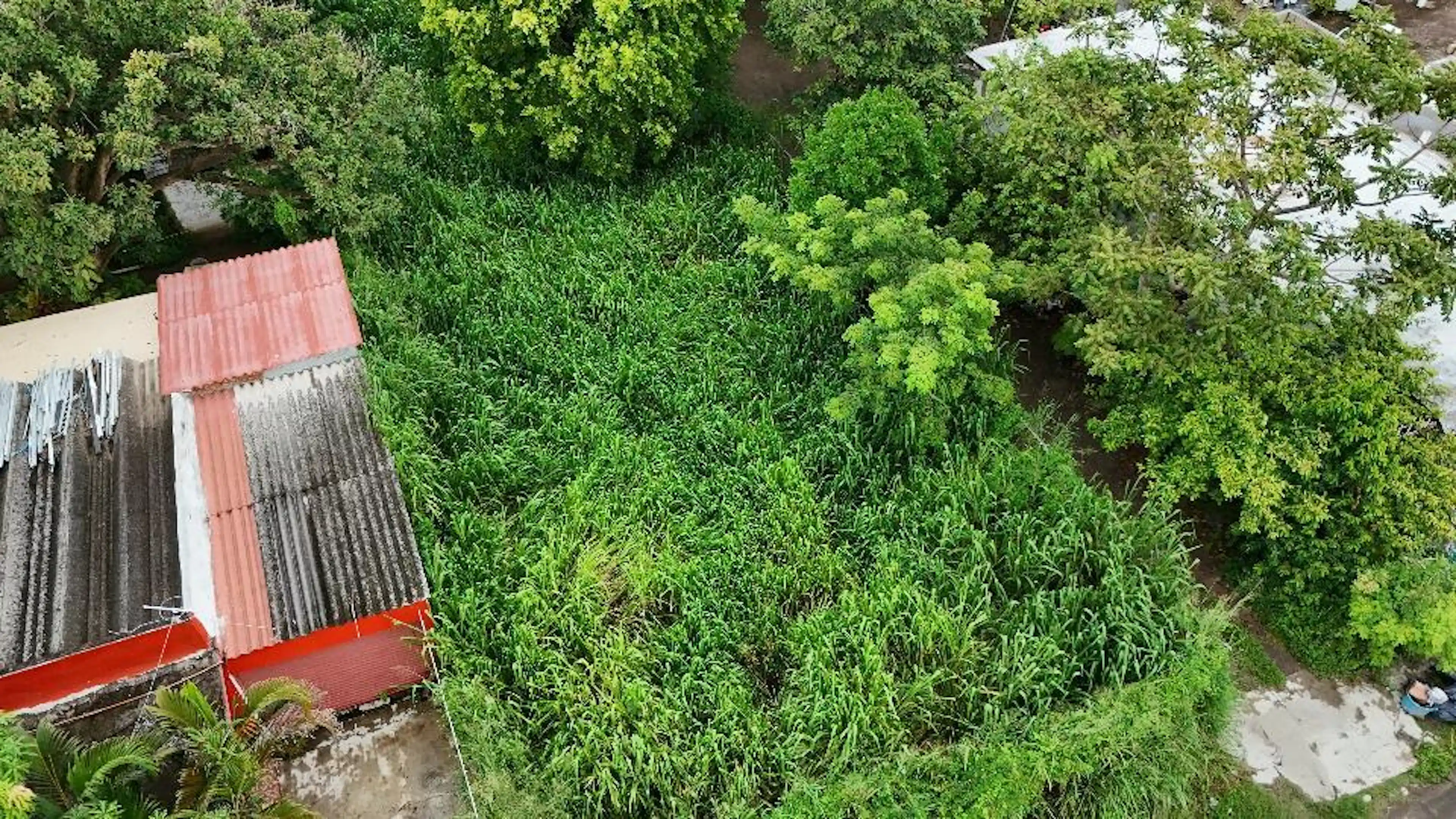 Terreno en Antón Lizardo, Veracruz