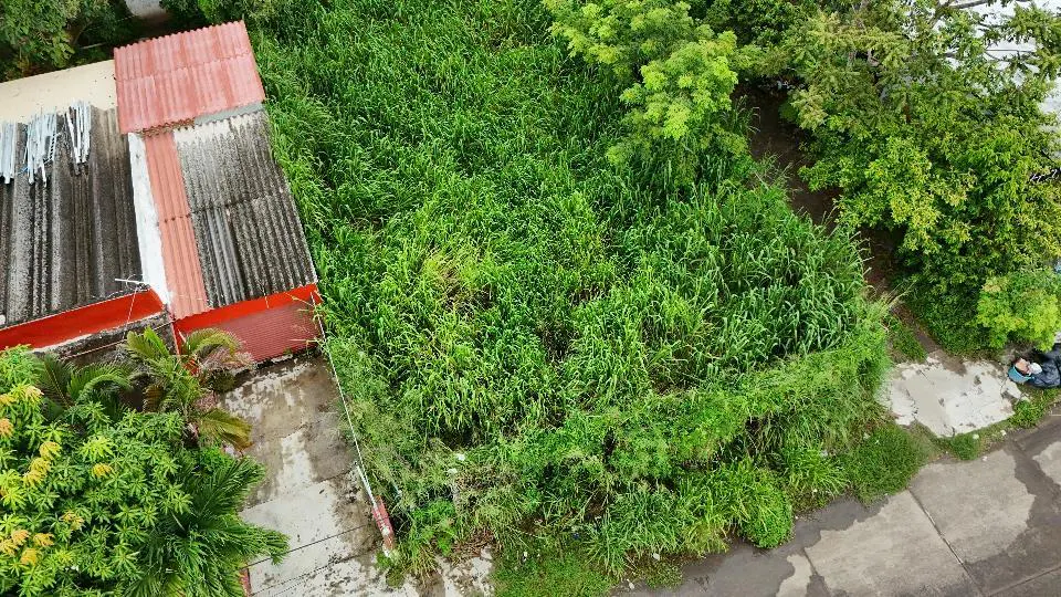 Terreno Spot2