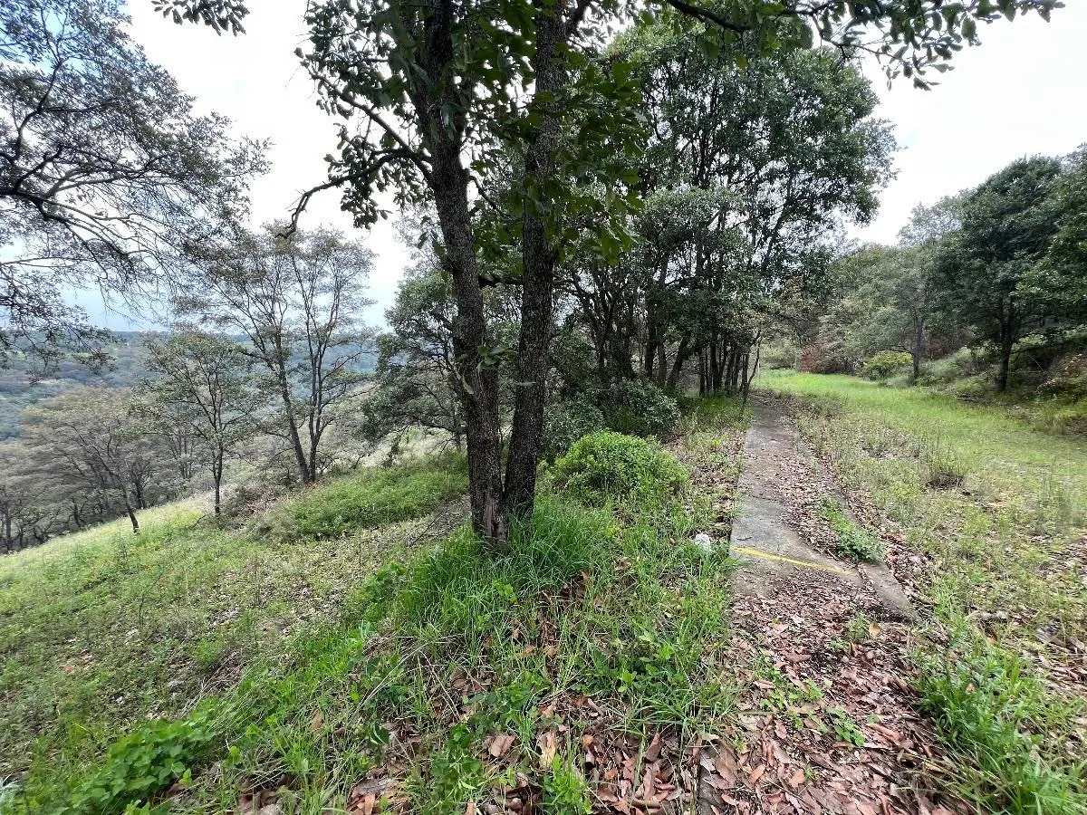 Terreno Spot2
