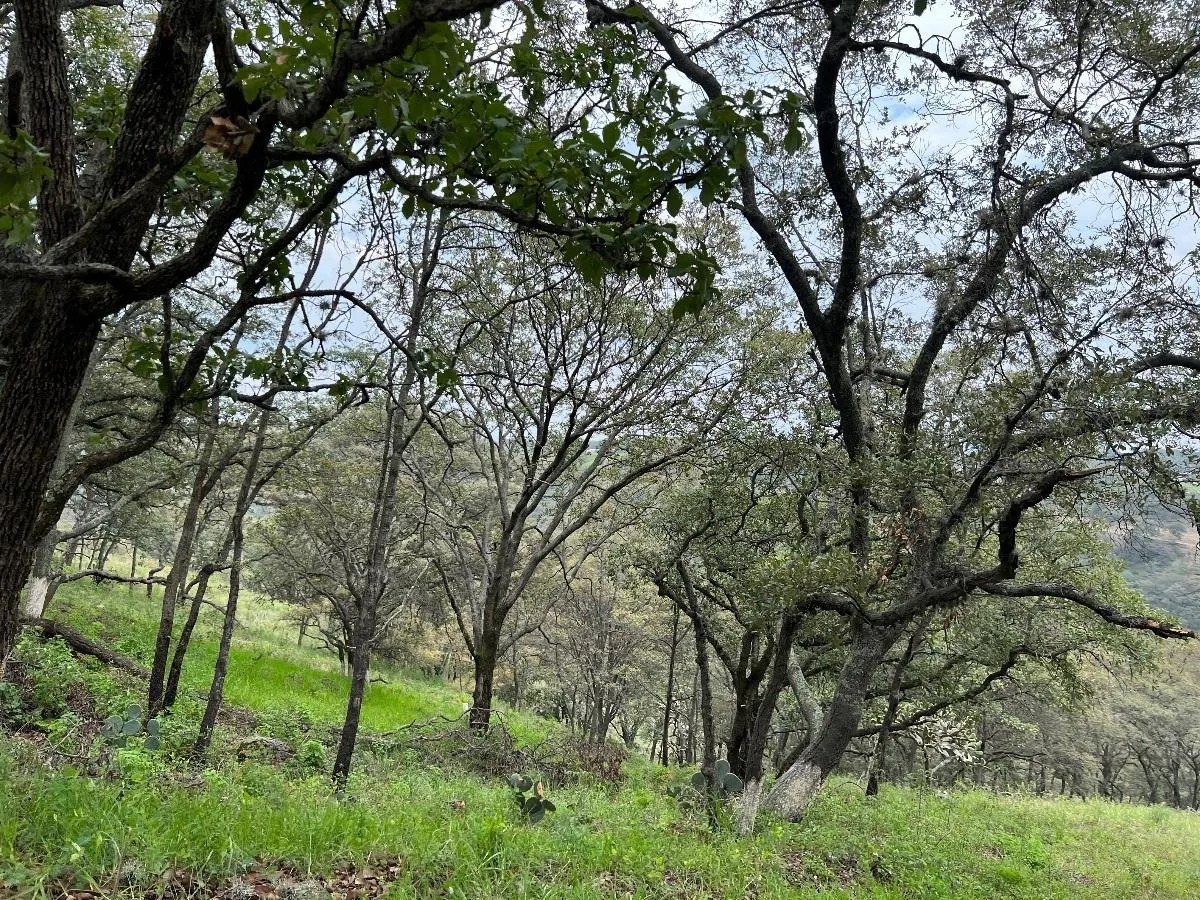 Terreno Spot2