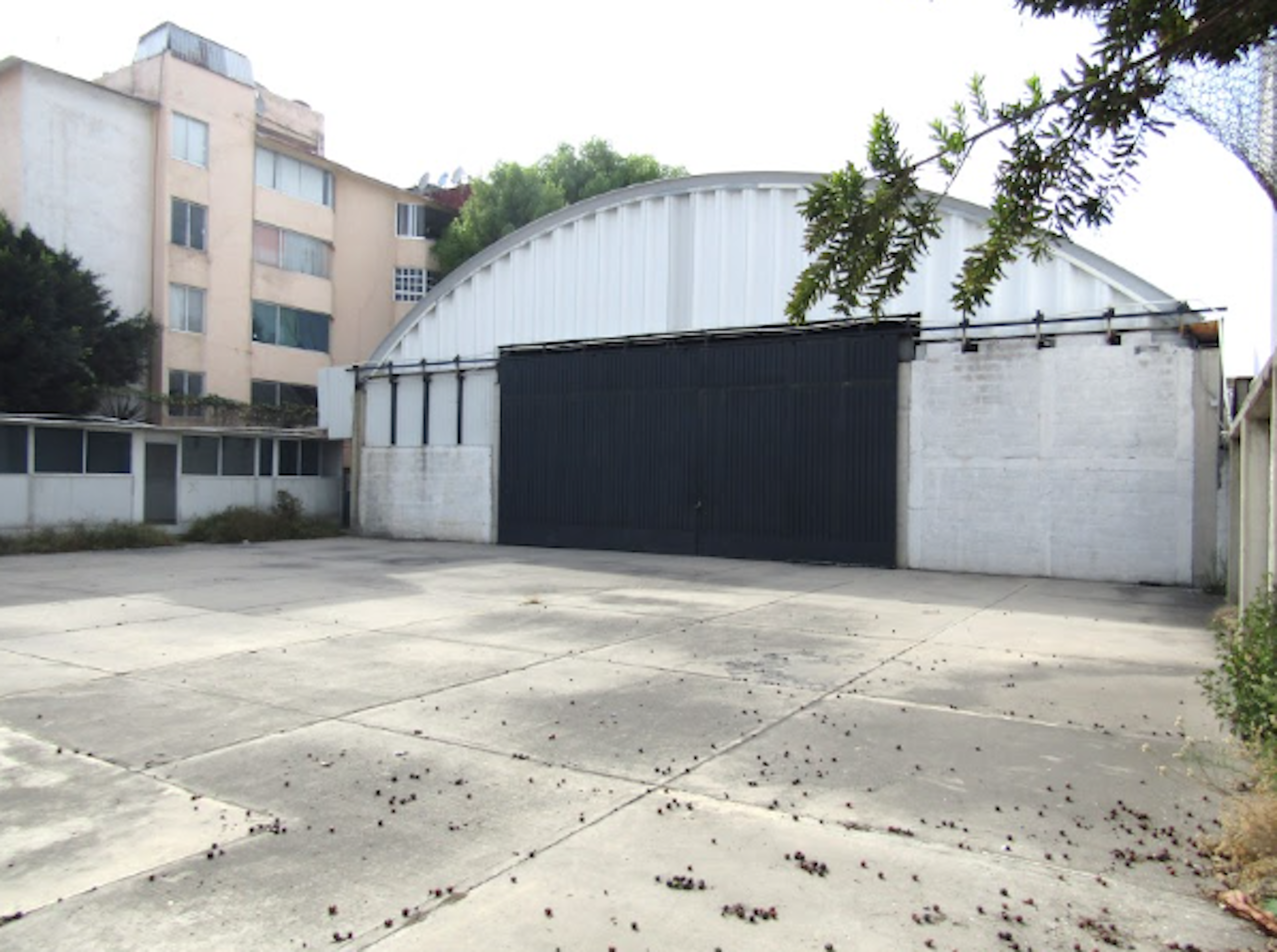 Spot image 0