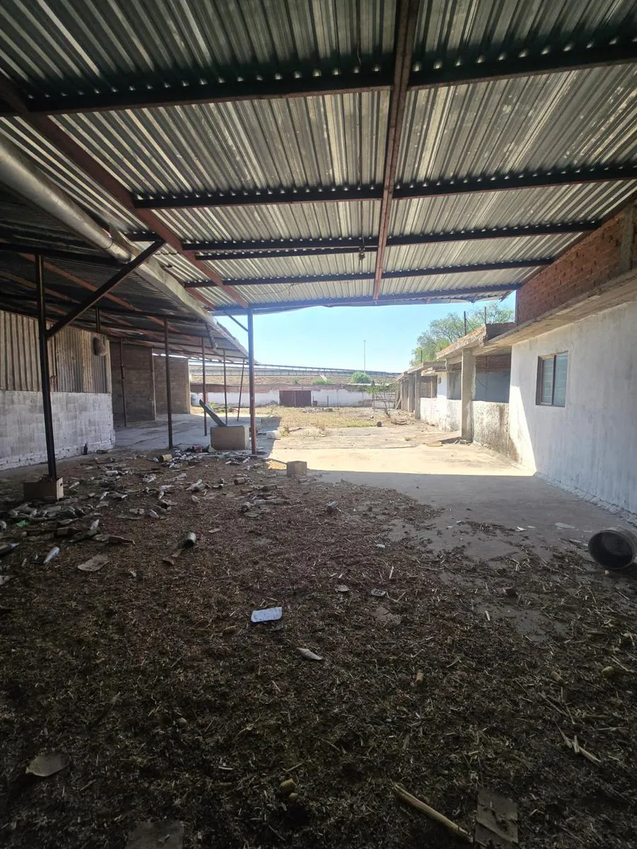 Terreno Spot2