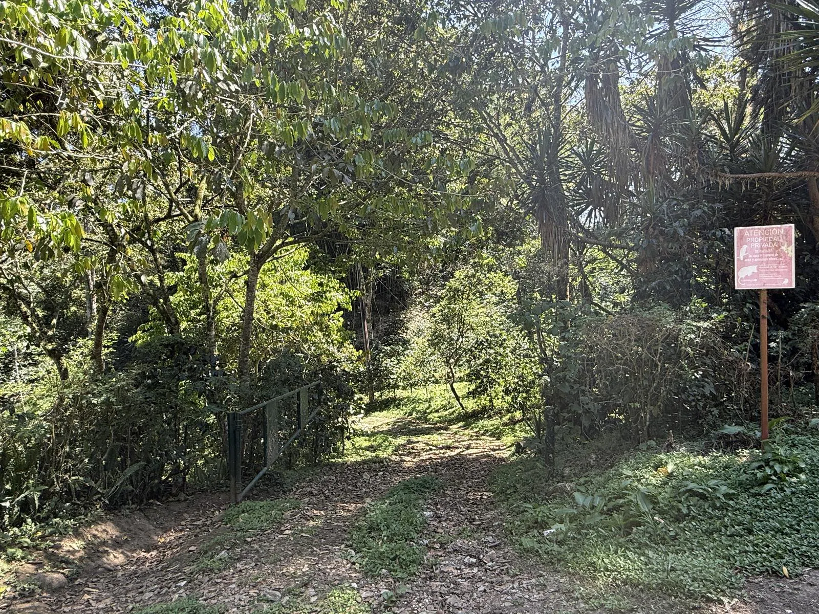 Terreno Spot2