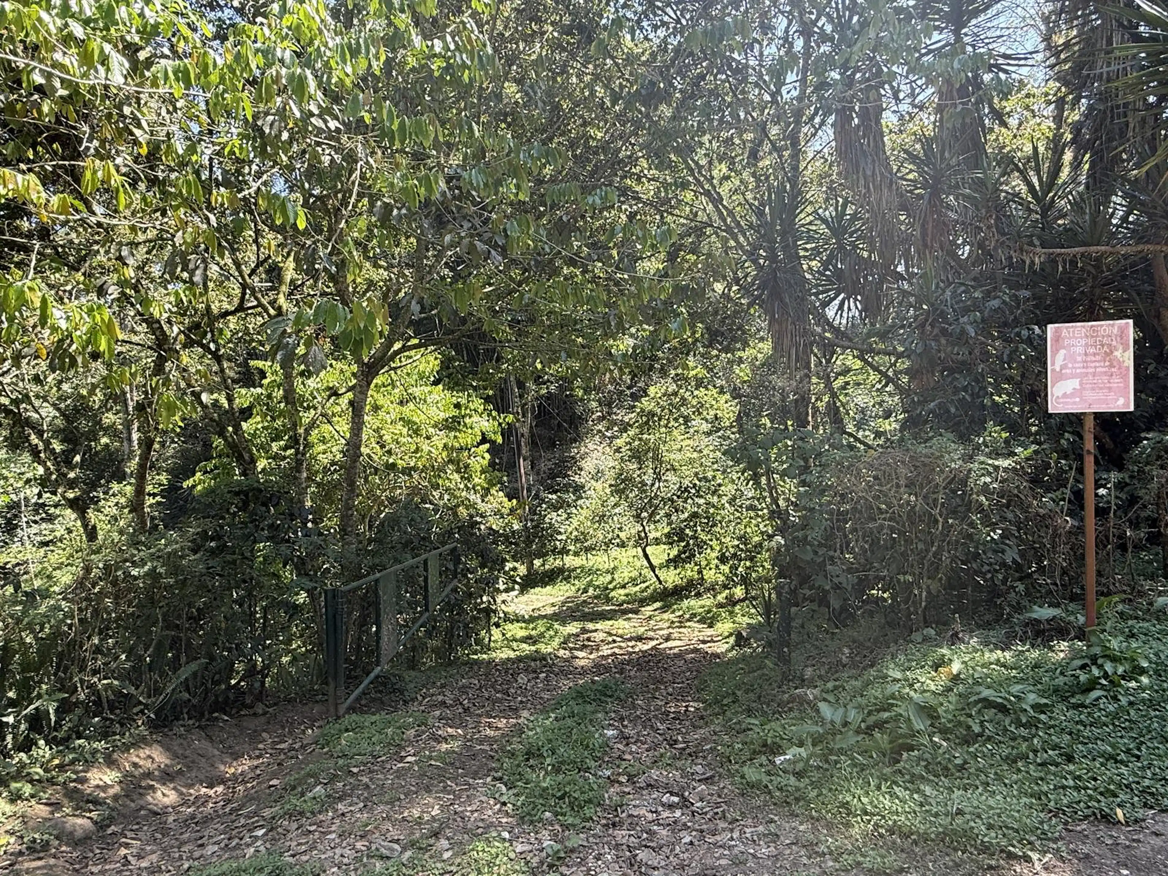 Terreno en venta en La Pitaya