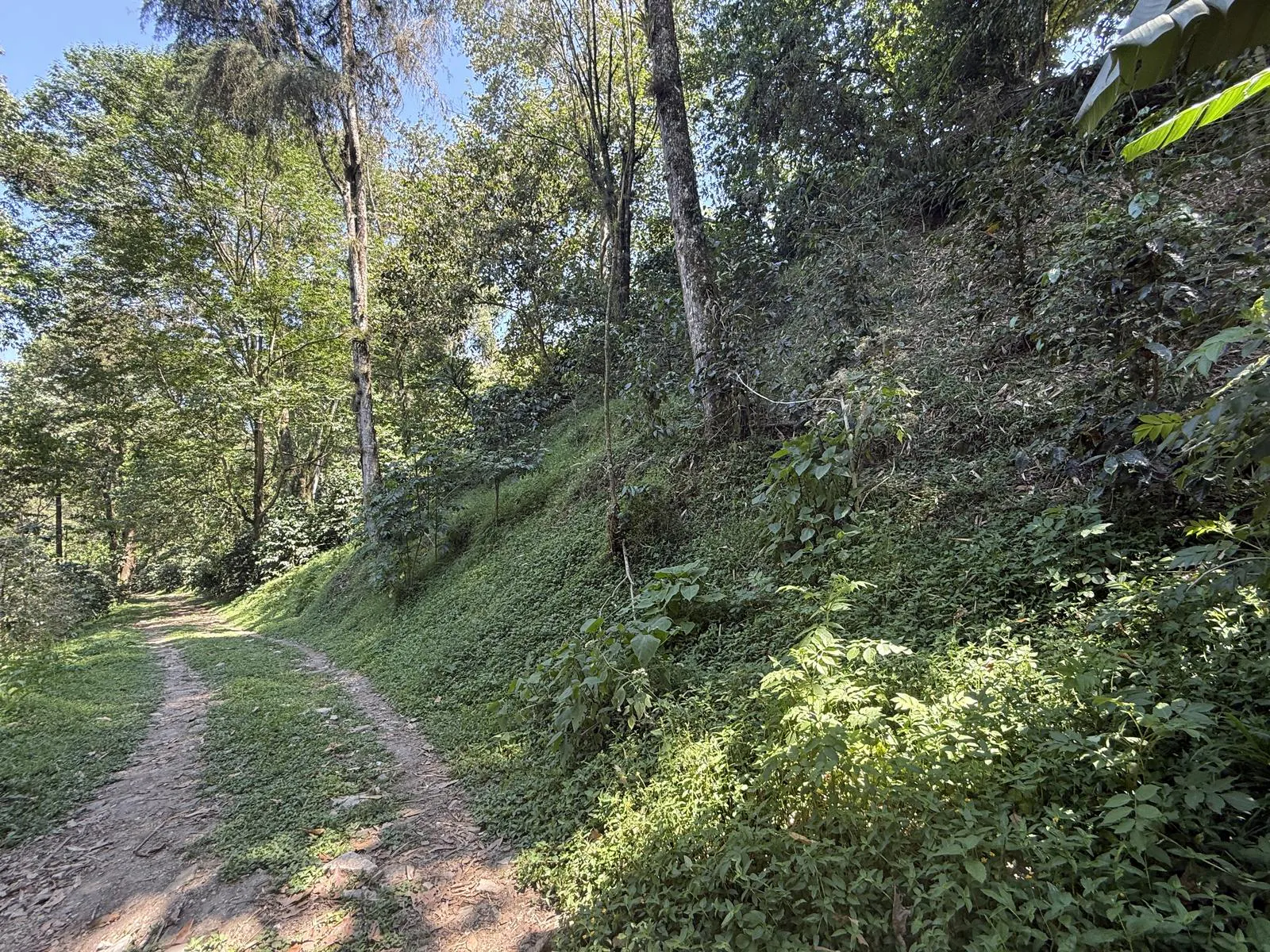 Terreno Spot2