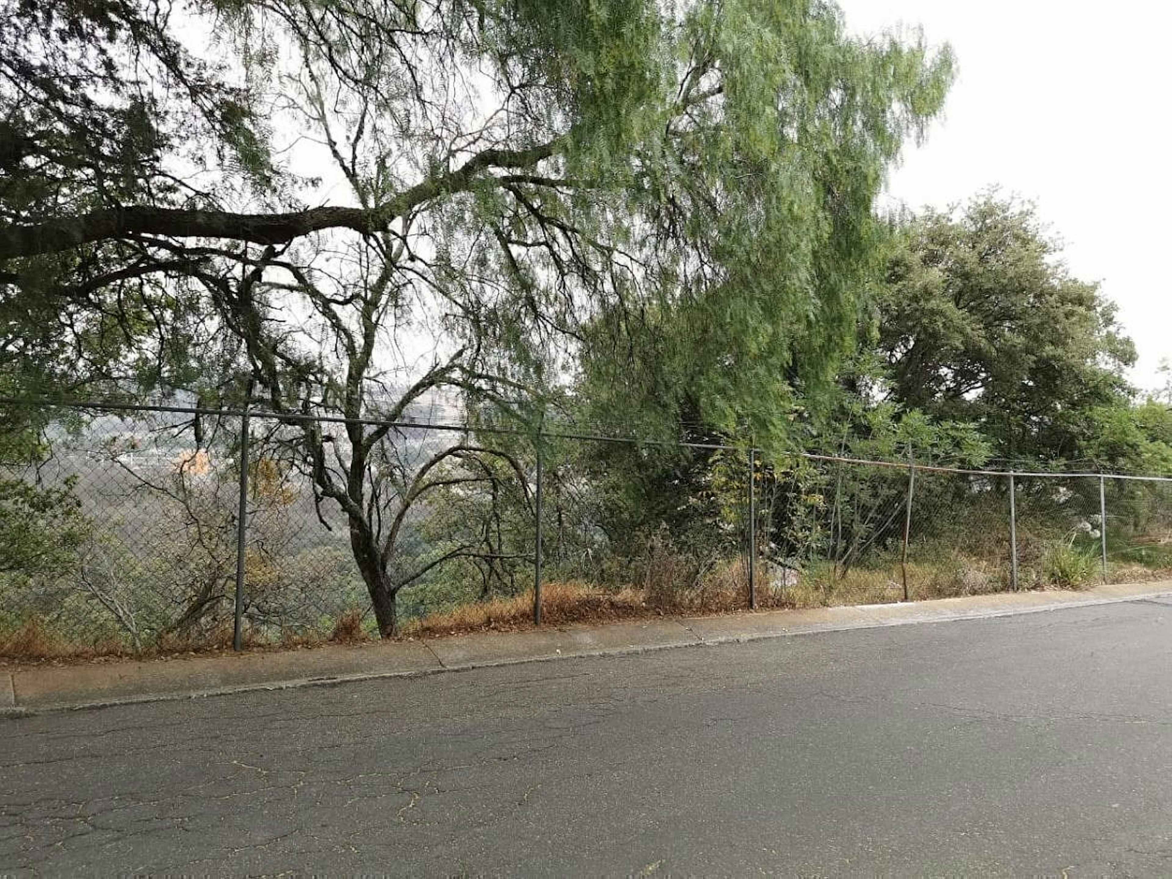 Terreno En Venta Condado Se Sayavedra