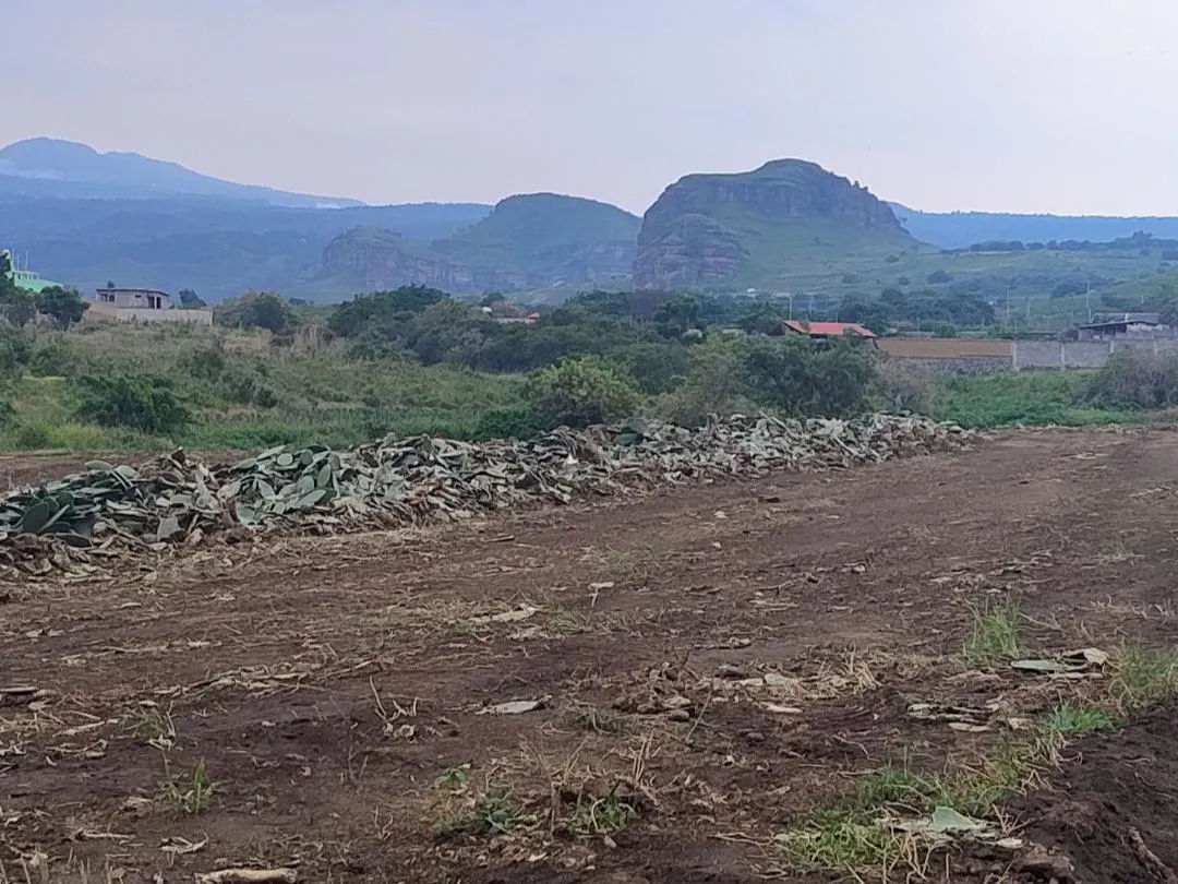 Terreno Spot2