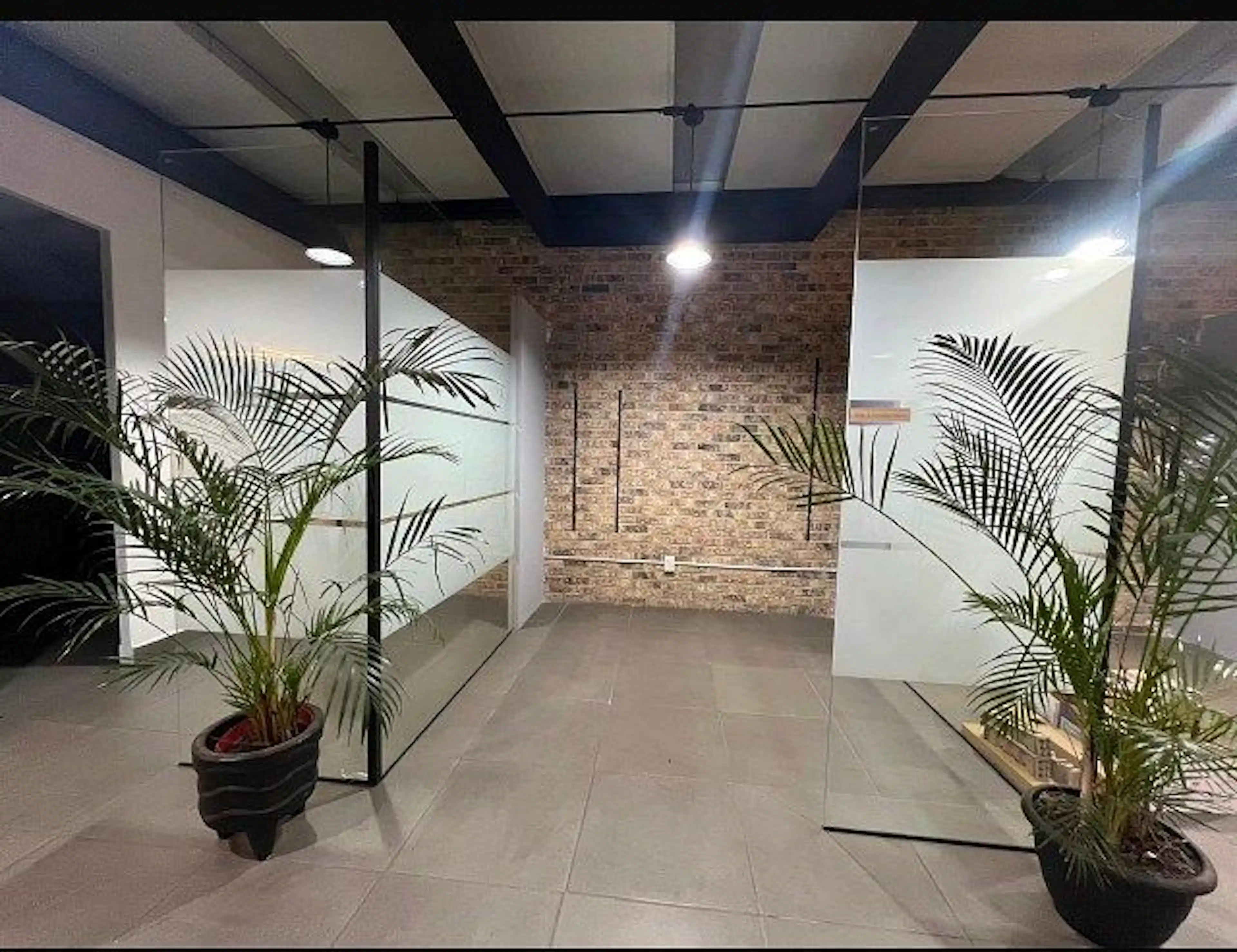 Bosque De Radiatas