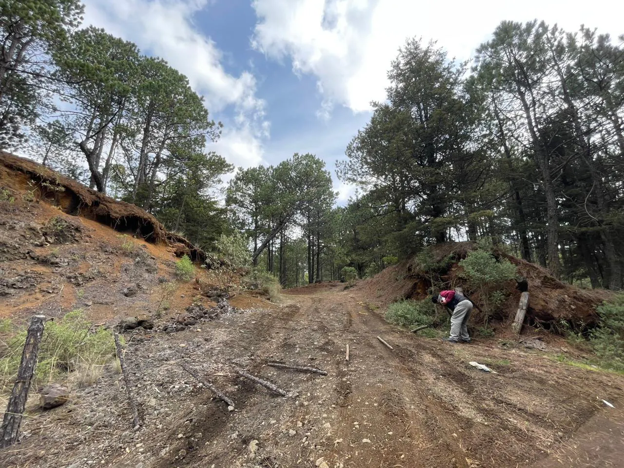 Terreno Spot2