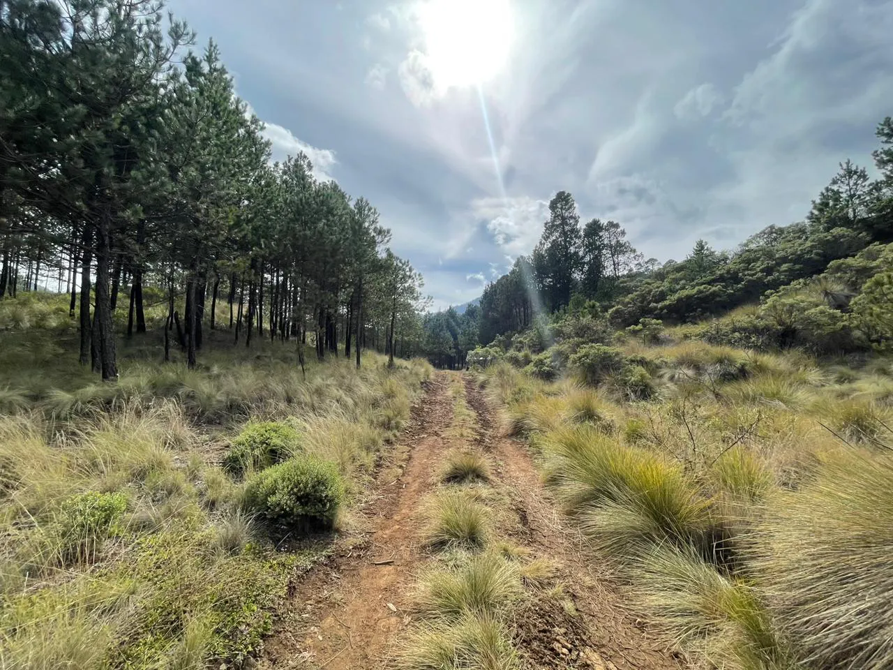Terreno Spot2
