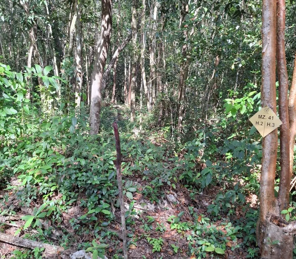 Terreno Spot2
