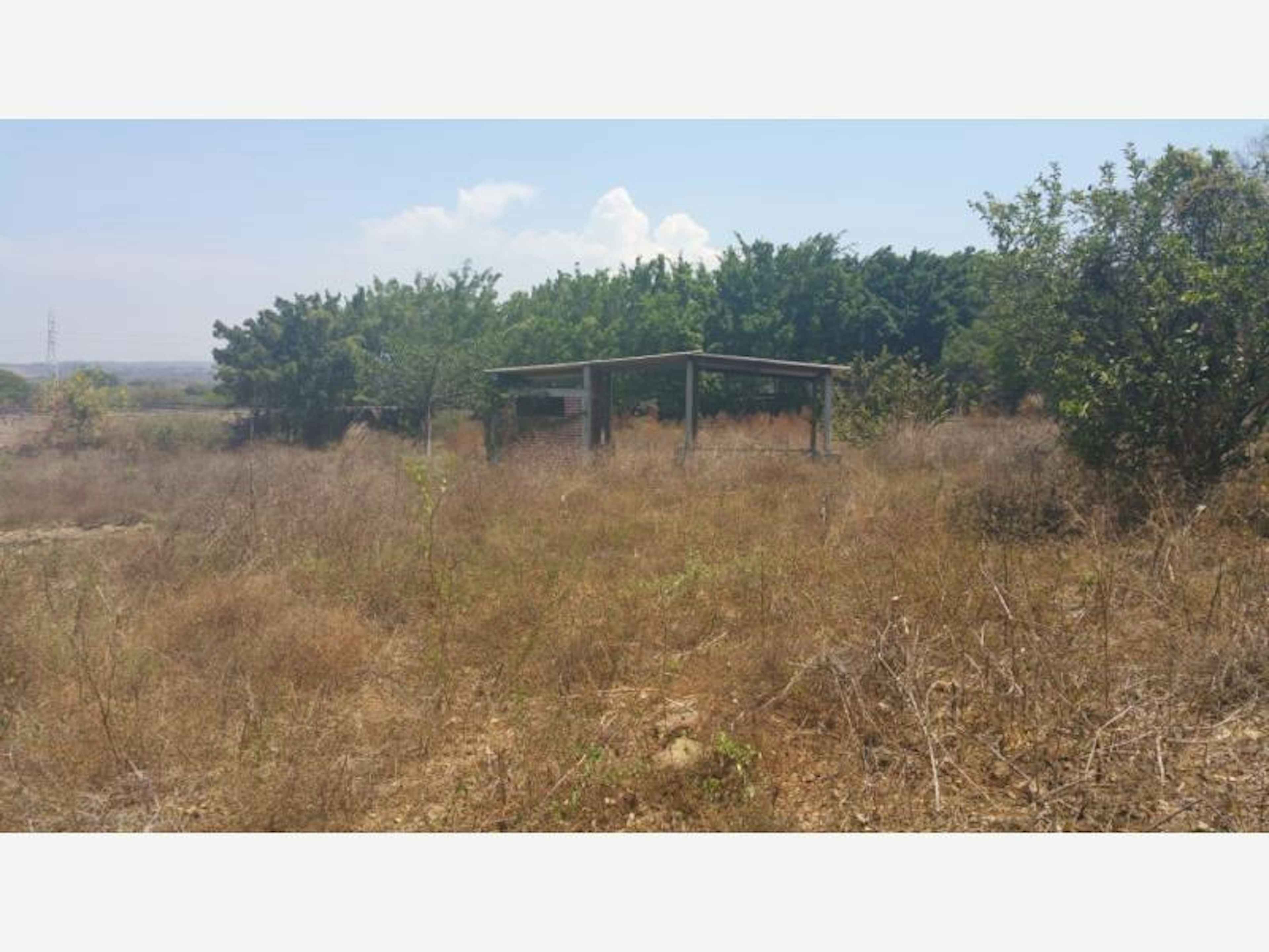 Terreno En Venta En Cuauhtemoc, Cuauhtémoc, Colima