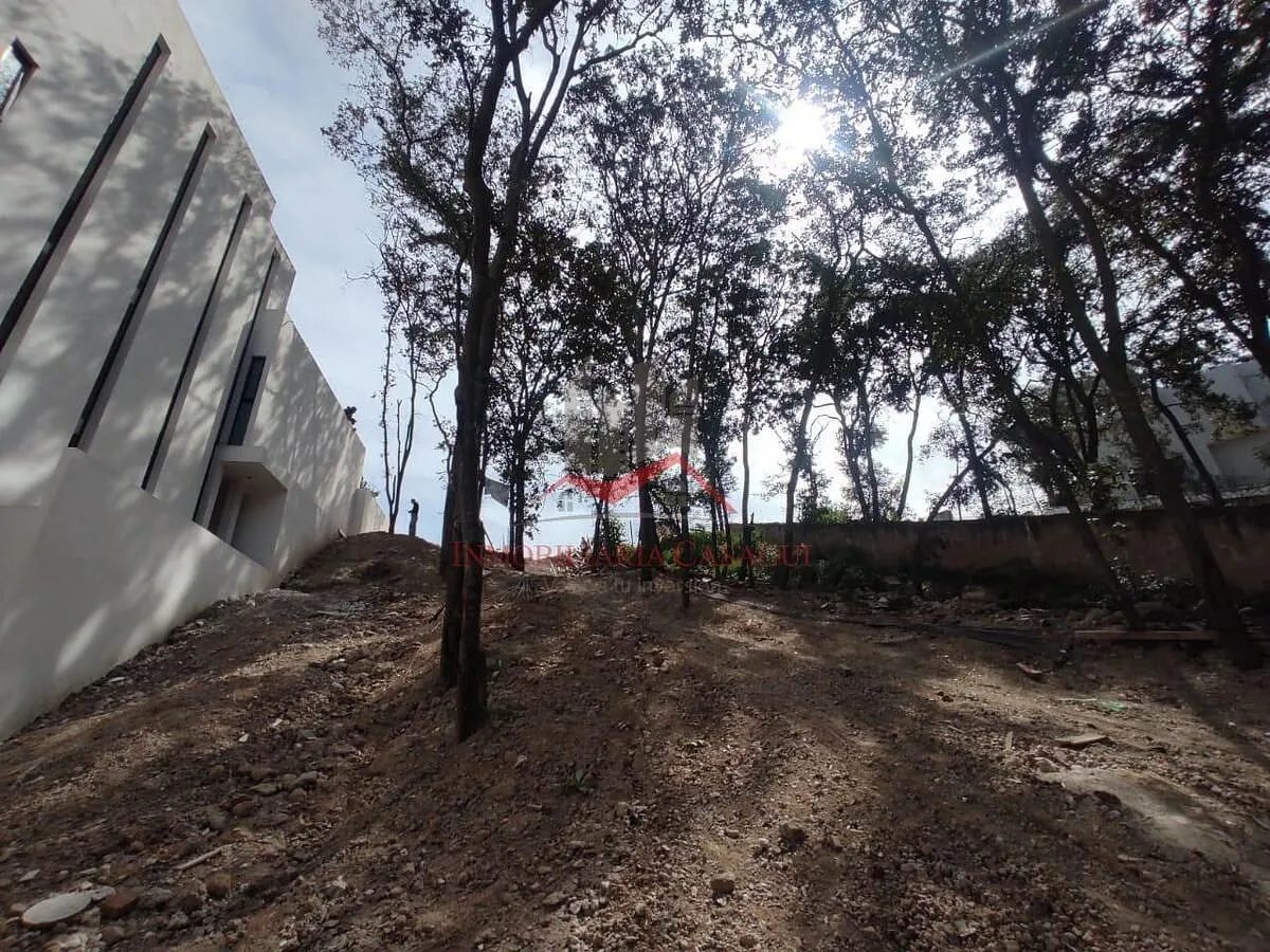 Terreno Spot2