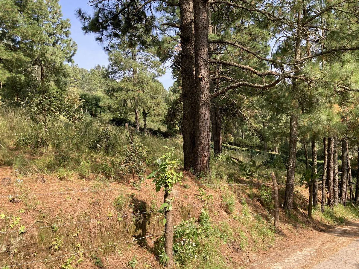 Terreno Spot2
