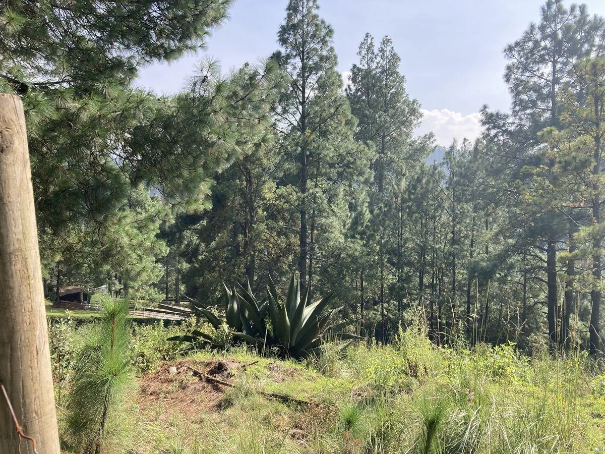 Terreno Spot2