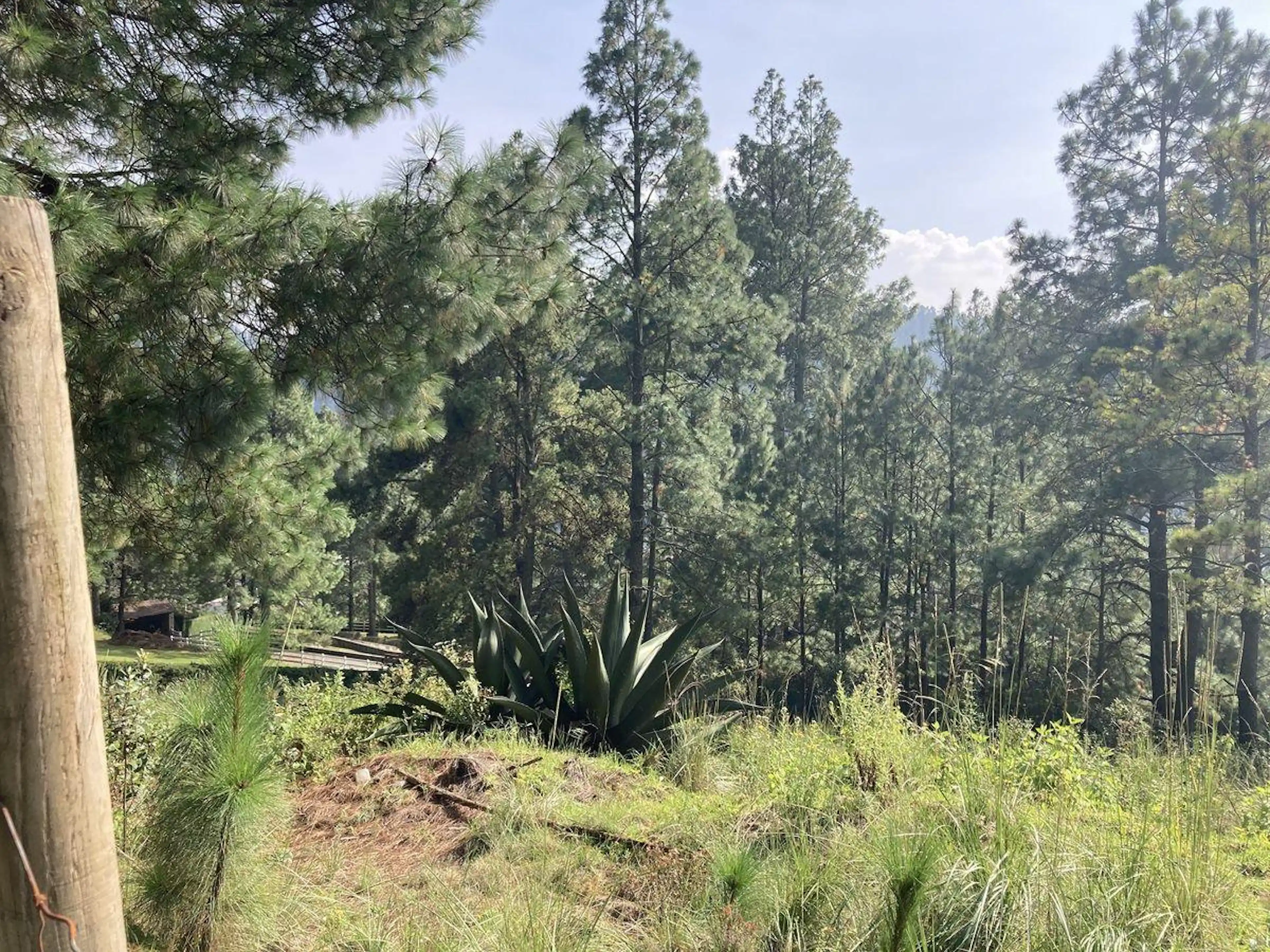 Terreno En Venta En La Cañada De Alférez Lerma Edo. Mex.