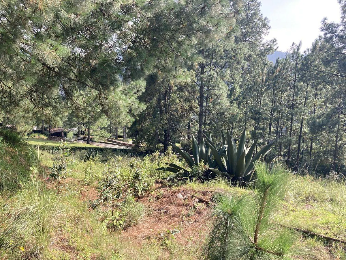 Terreno Spot2