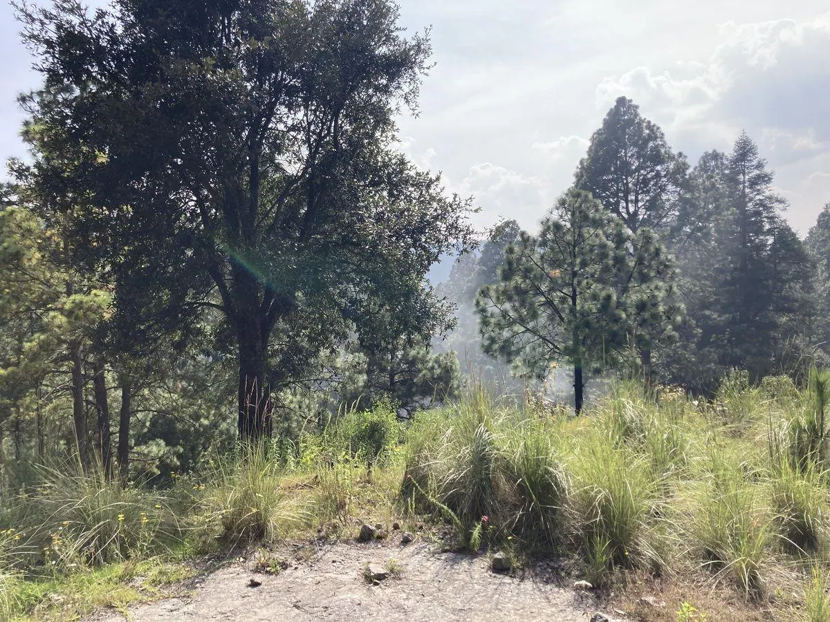 Terreno Spot2