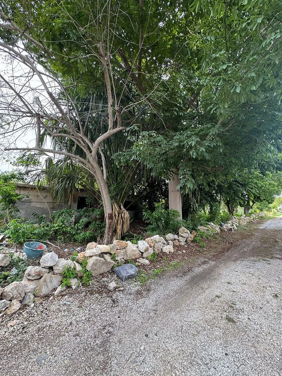 Terreno Spot2