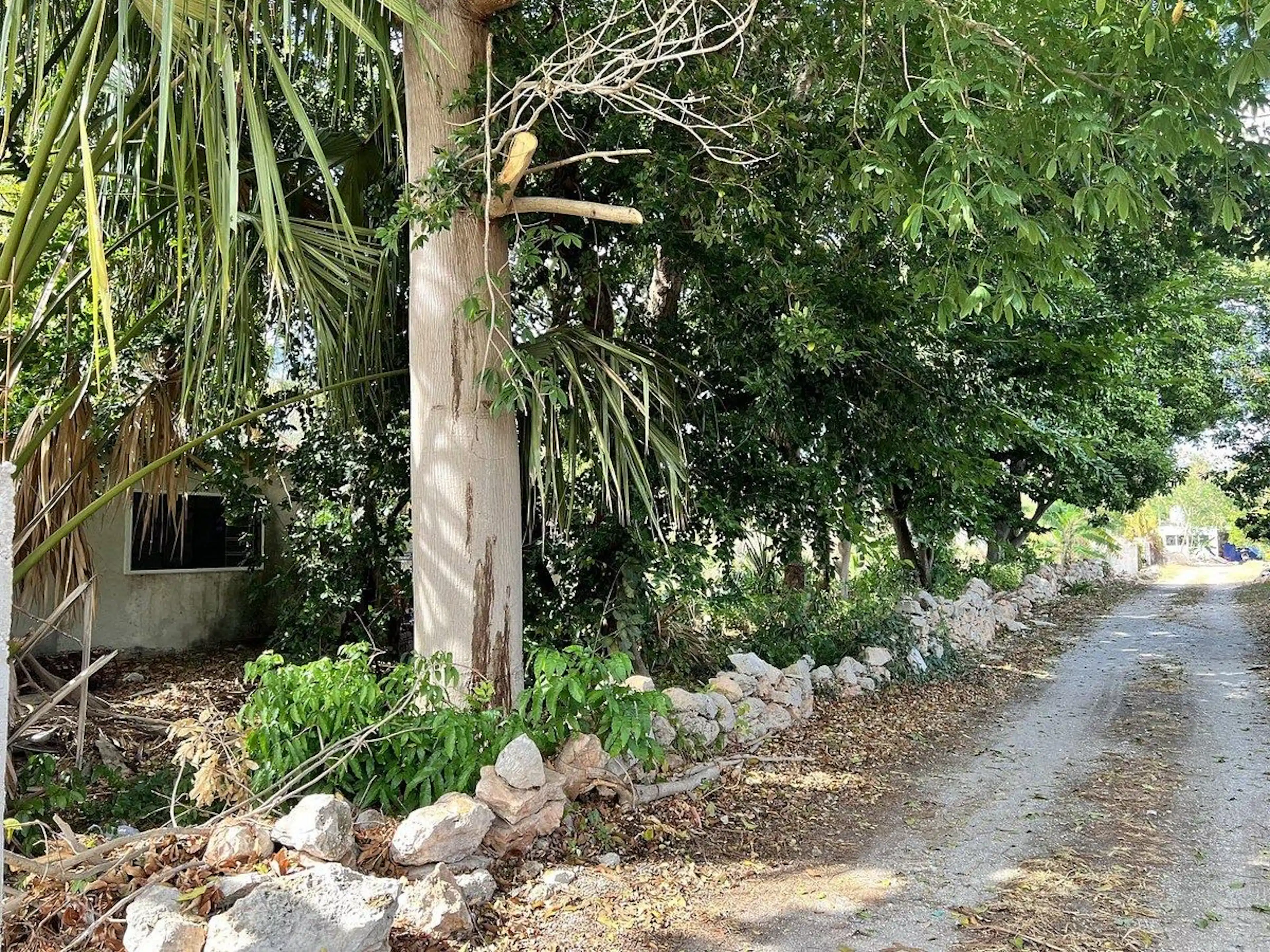 Terreno en Chuburná de Hidalgo, Mérida