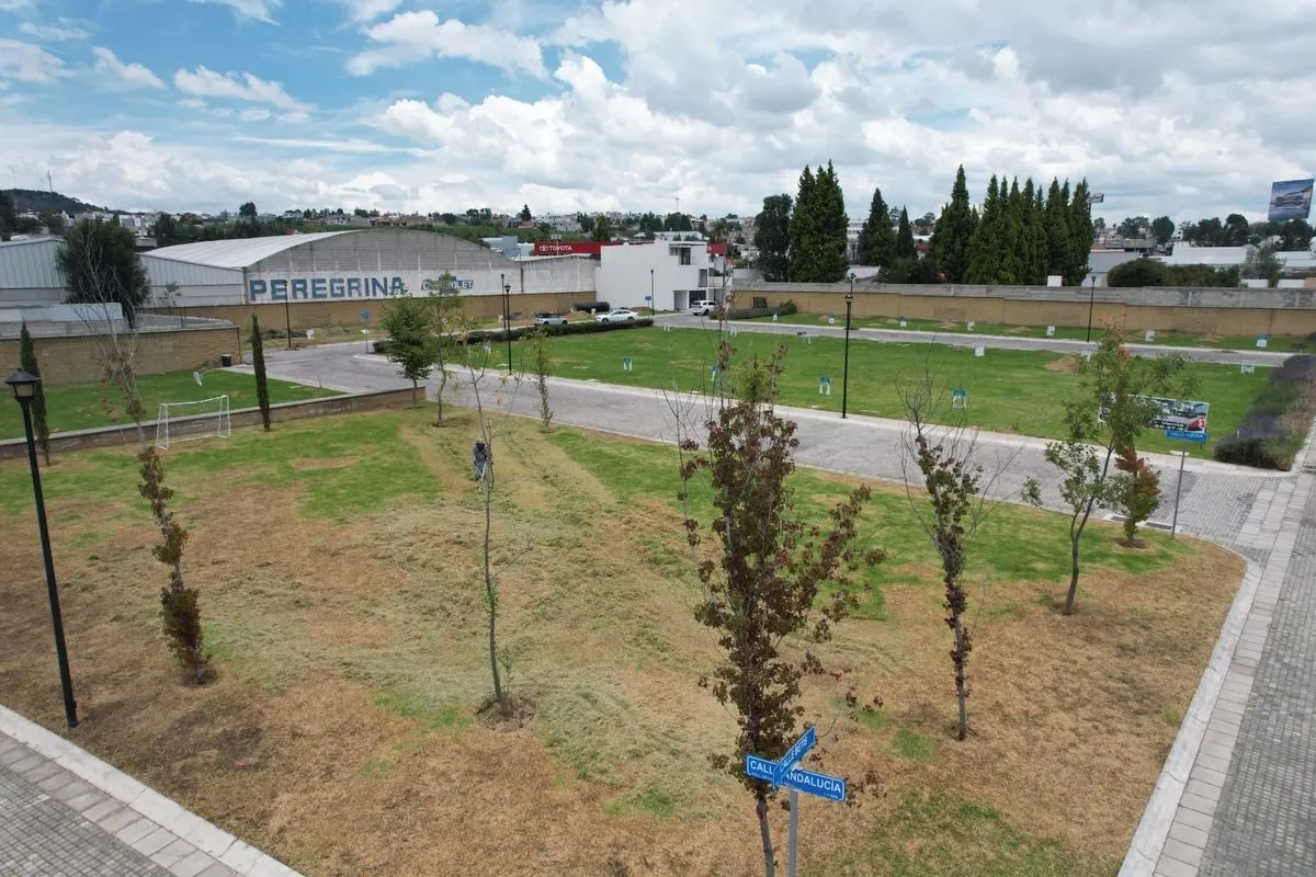 Terreno Spot2