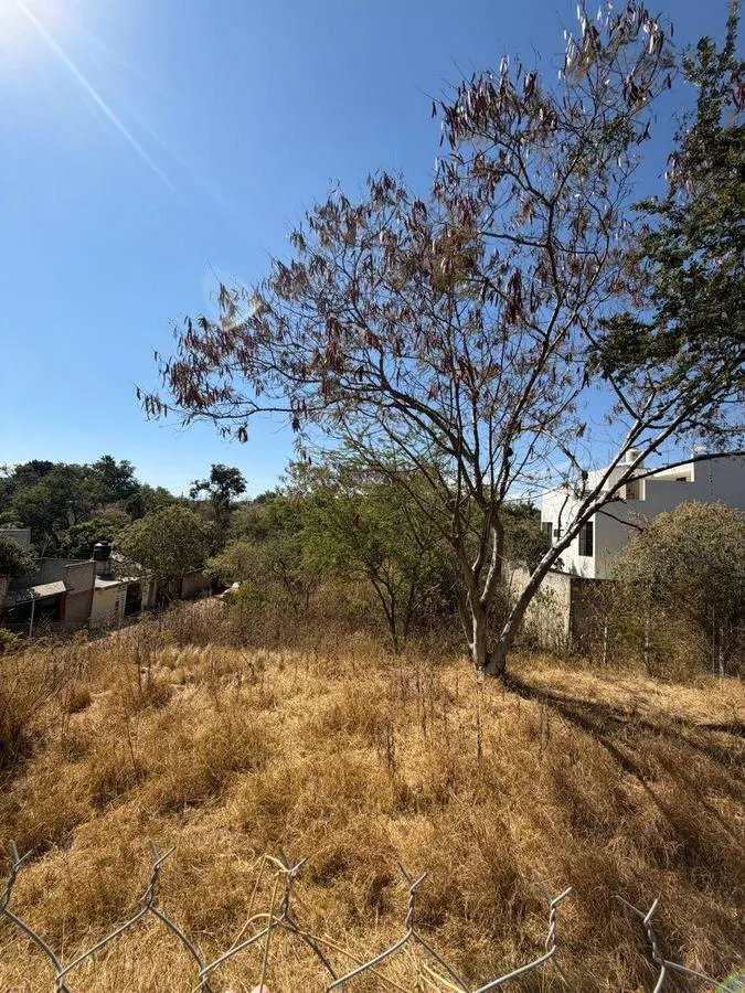 Terreno Spot2