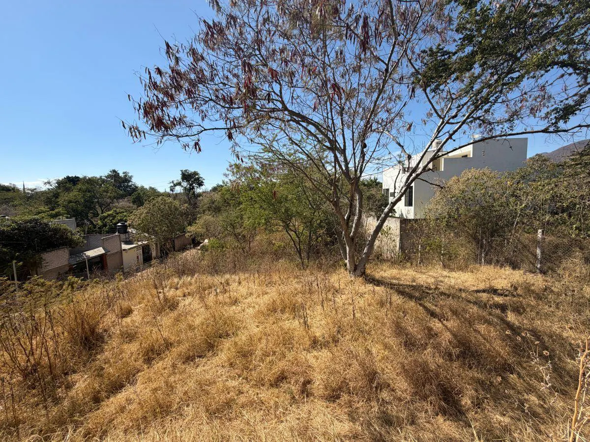 Terreno Spot2