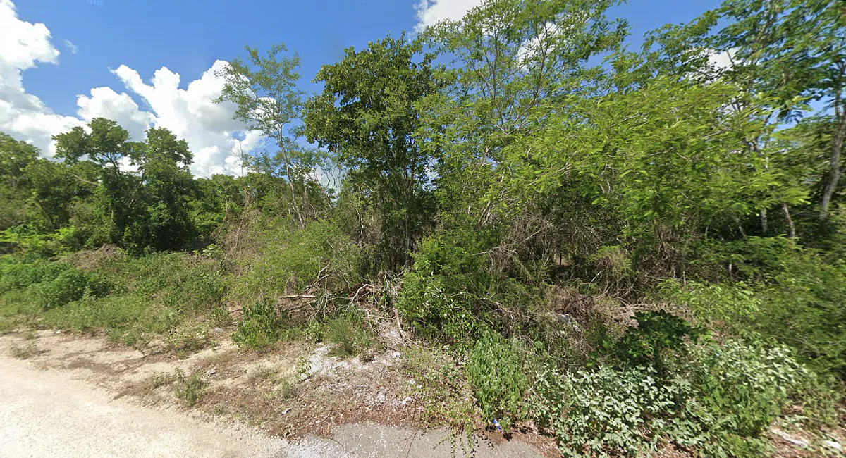 Terreno Spot2