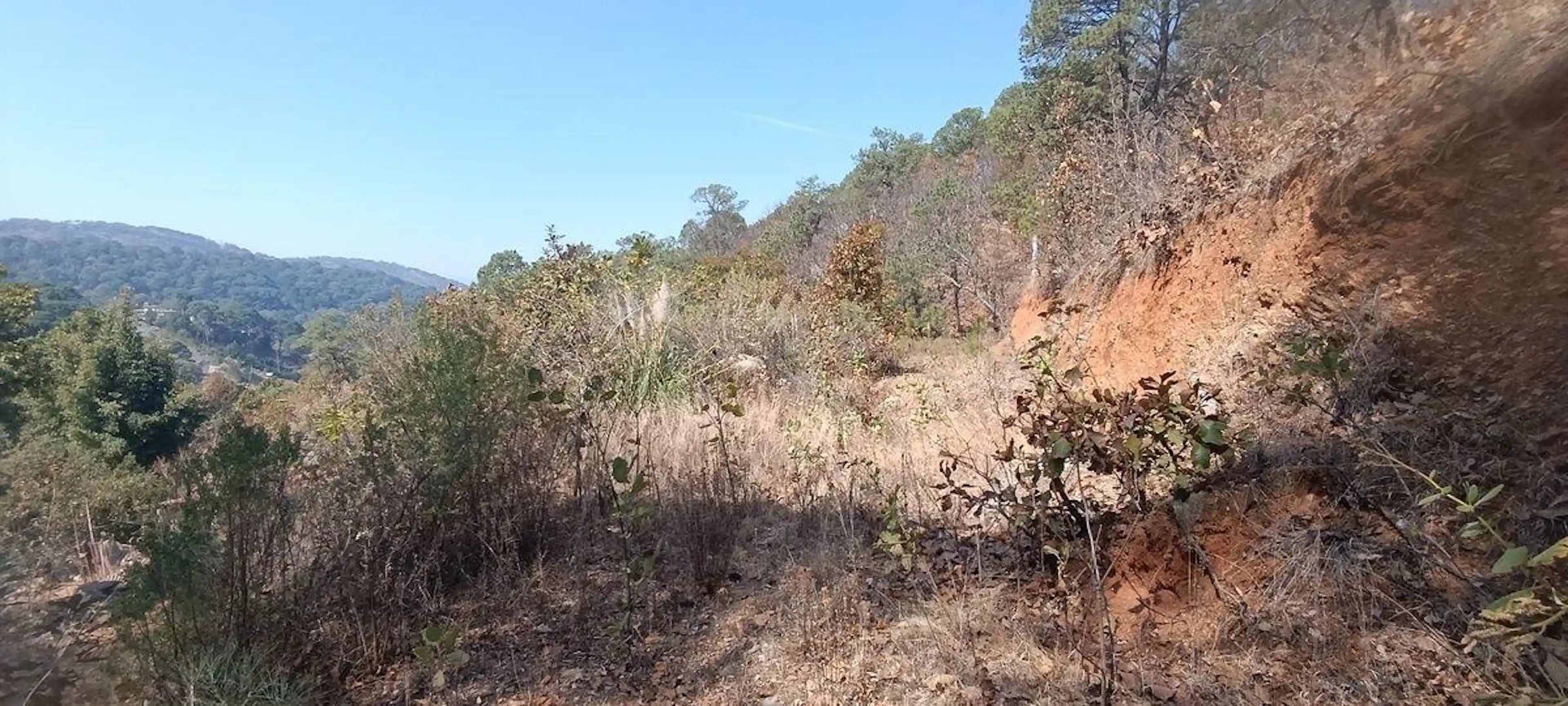 Terreno de 1,500 m² en Tres Puentes con plataformas listas