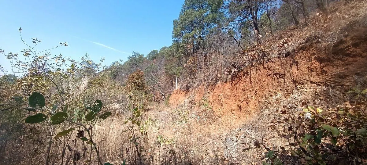 Terreno Spot2