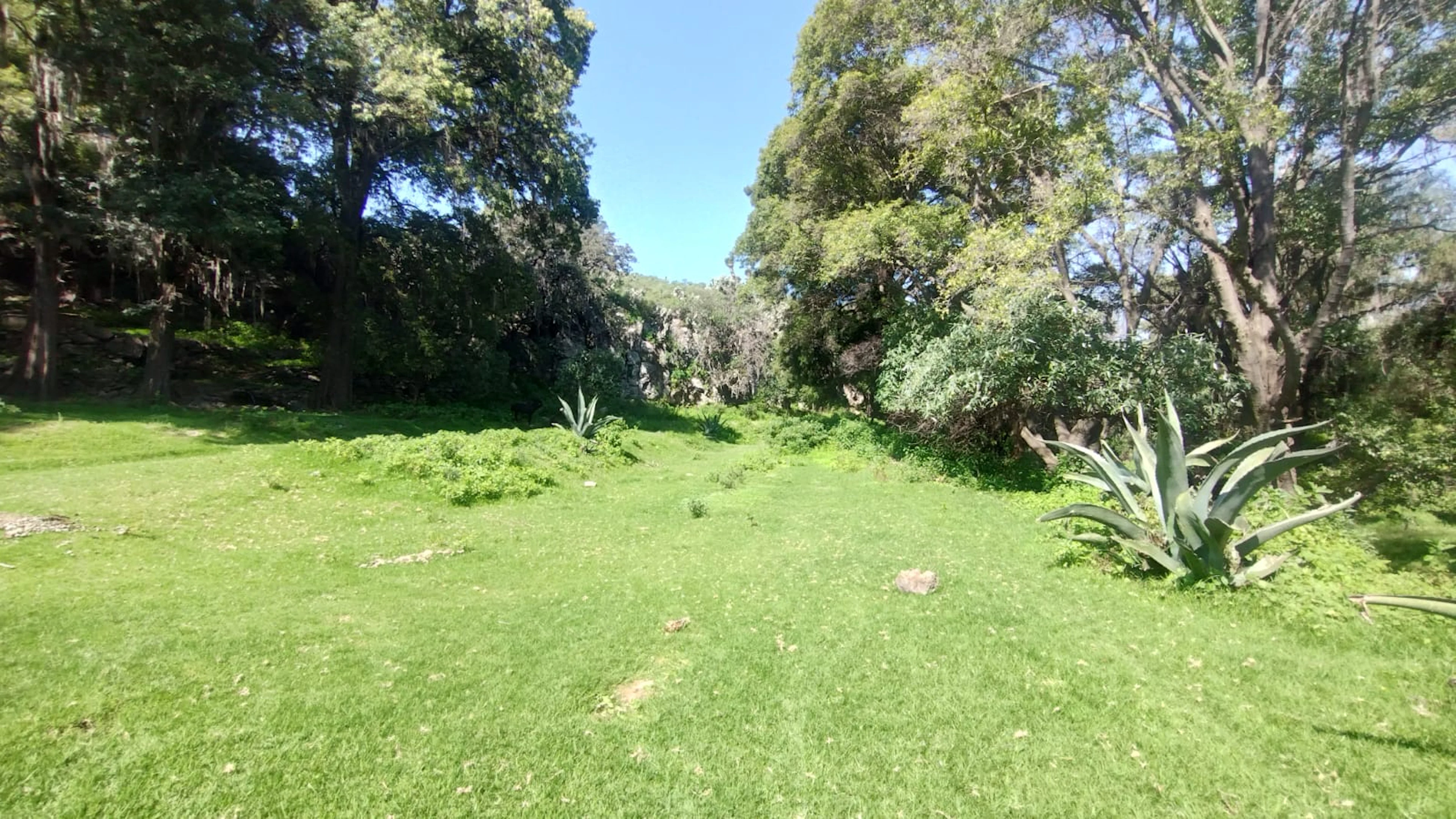 Terreno Spot2