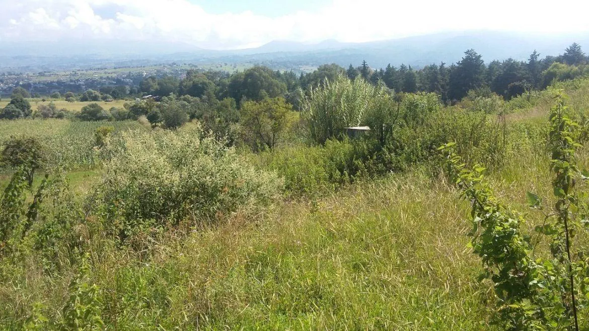 Terreno Spot2