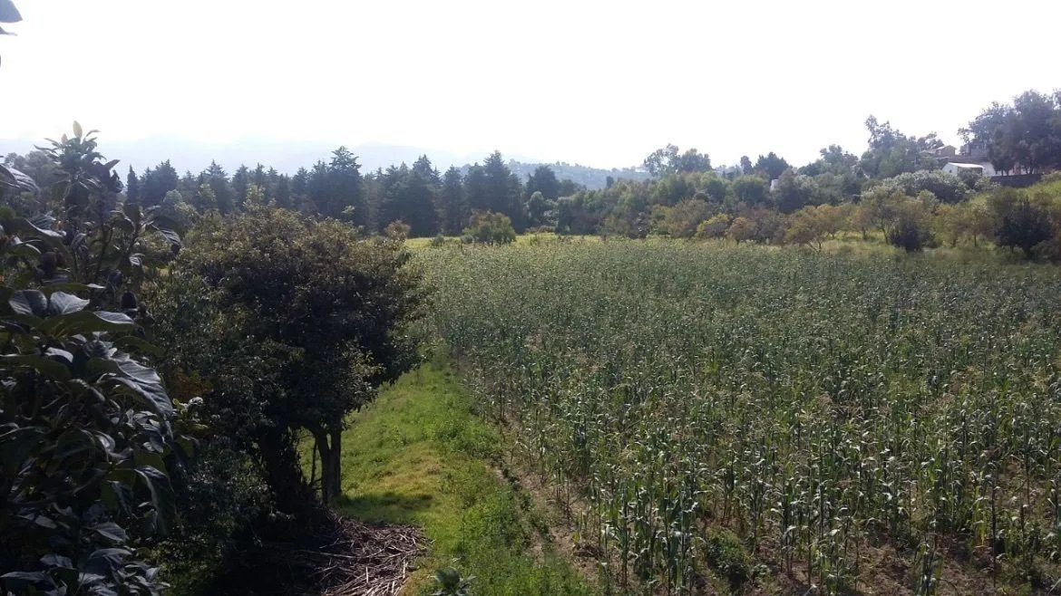 Terreno Spot2