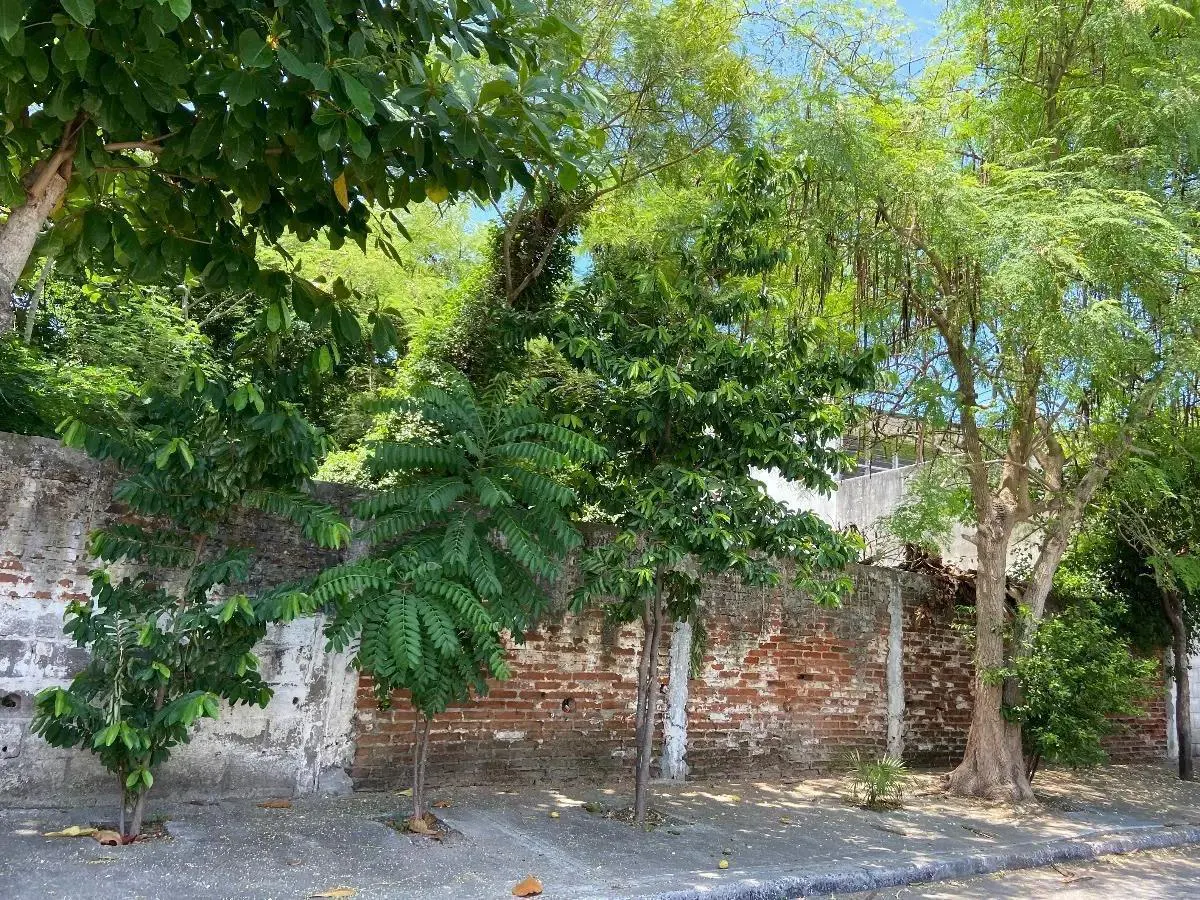 Terreno Spot2