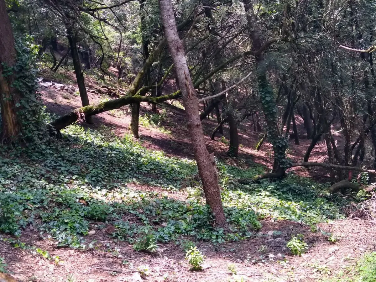 Terreno Spot2
