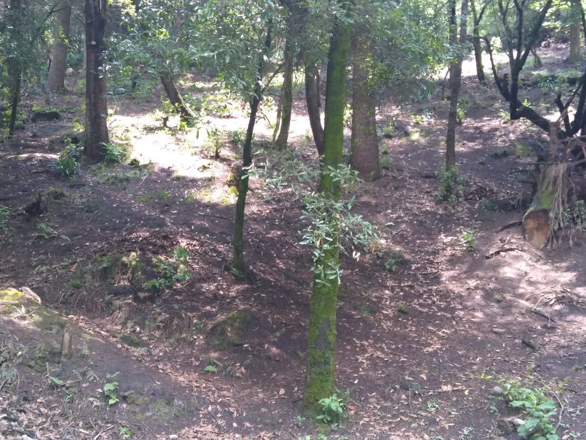 Terreno Spot2