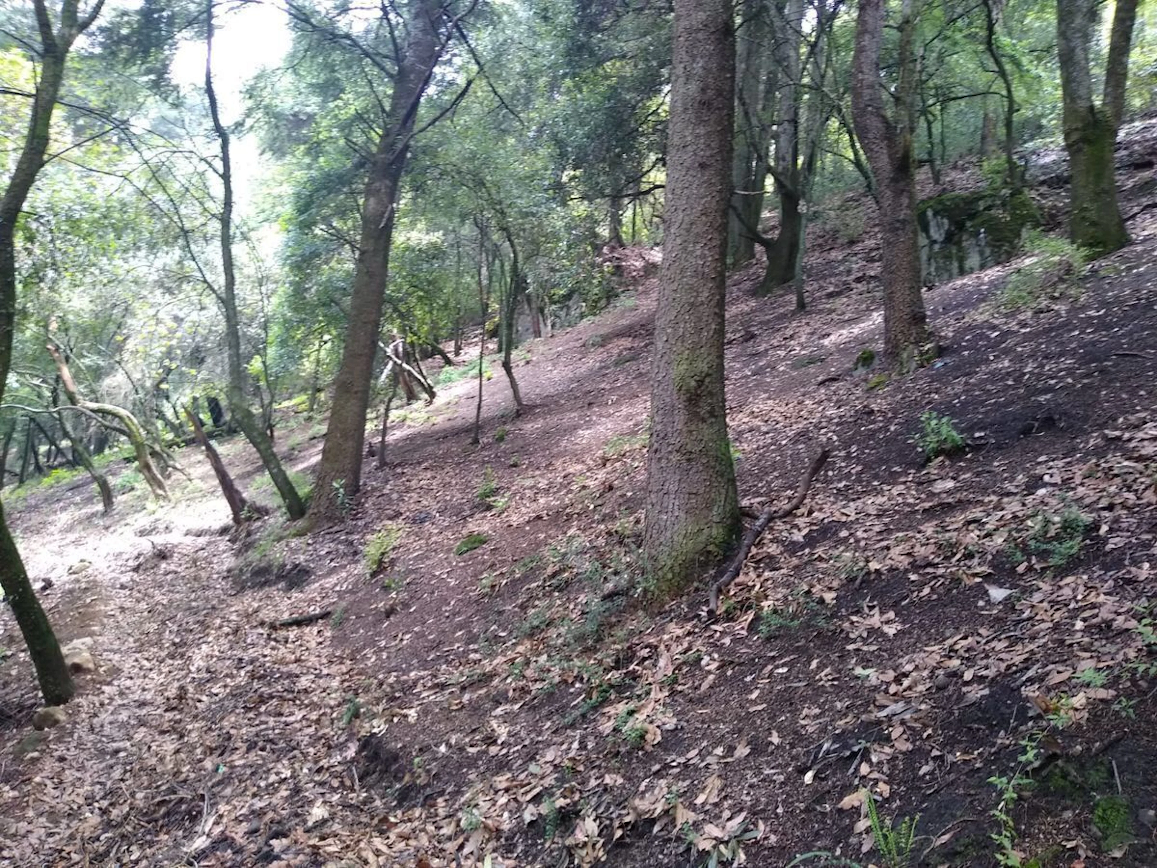Terreno Spot2