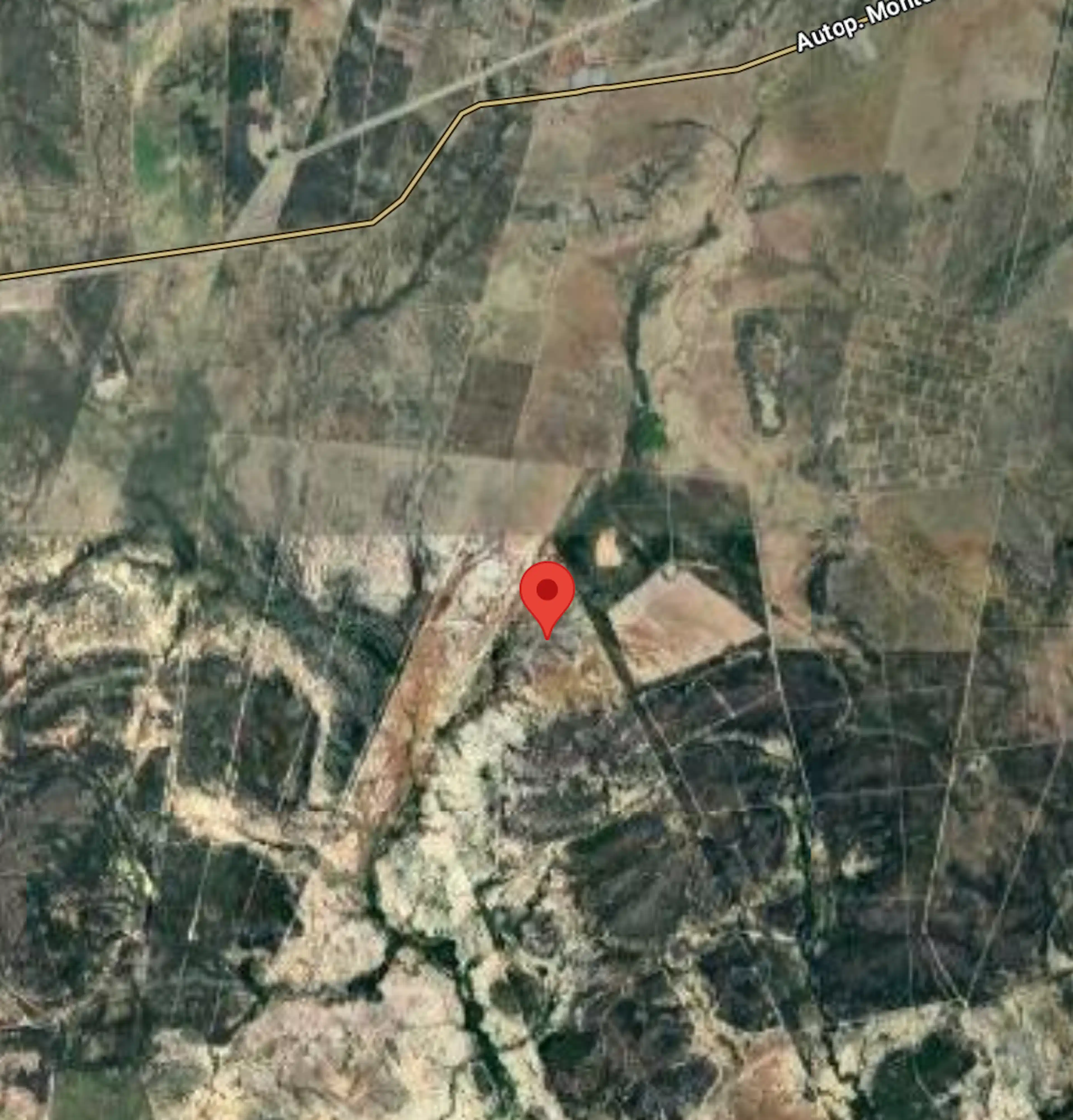 Lote 75