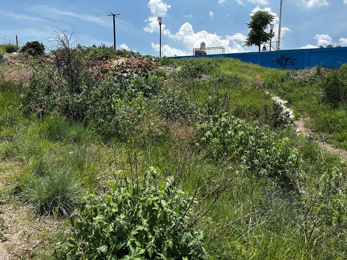 Terreno Spot2